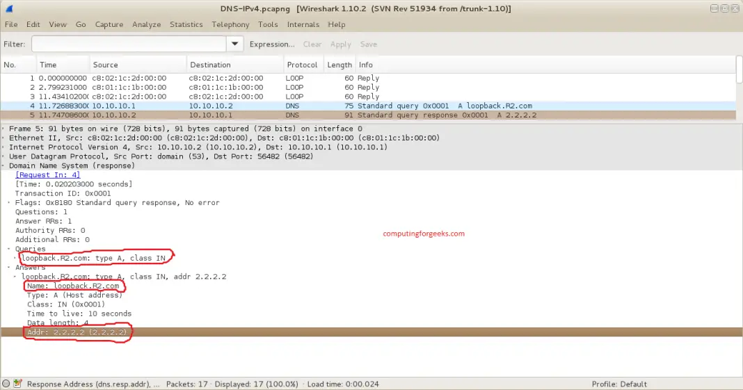 CCNA Labs DNS Server Configuration on GNS3 and Packet Tracer
