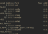 netstat vs ss usage guide on Linux