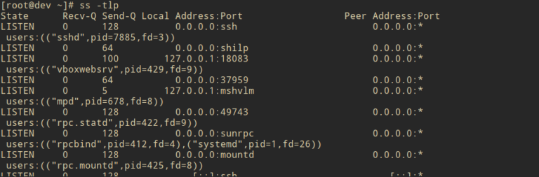 netstat vs ss usage guide on Linux