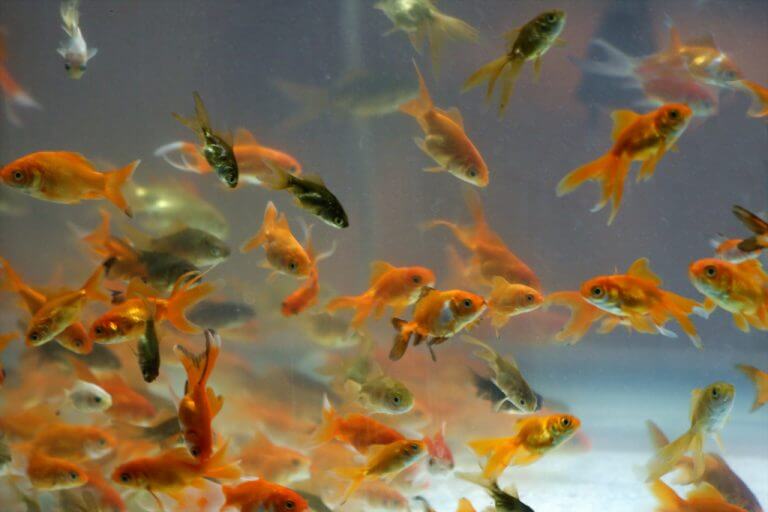 secure password entropy password management