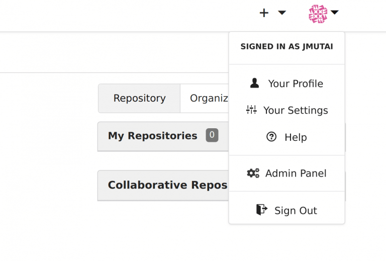 install gogs git service ubuntu 18.04 configure open admin panel min