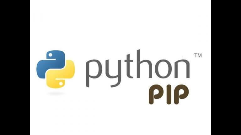 install python pip freebsd 12