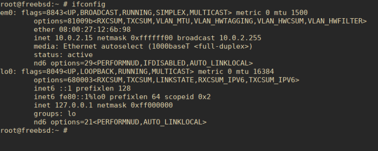set static ip address hostname freebbsd 12