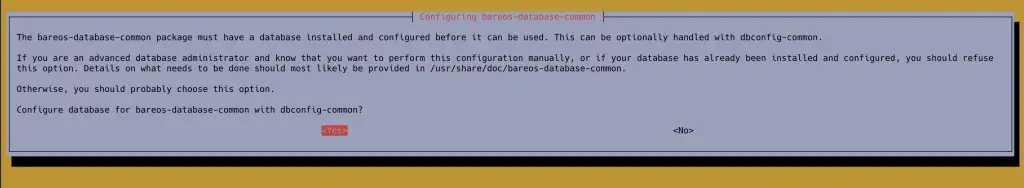 Install Bareos backup Tool on Ubuntu 20.04|18.04 2 install bareos on ubuntu postgresql 01