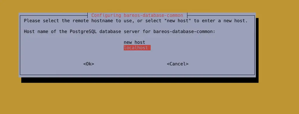Install Bareos backup Tool on Ubuntu 20.04|18.04 3 install bareos on ubuntu postgresql 02