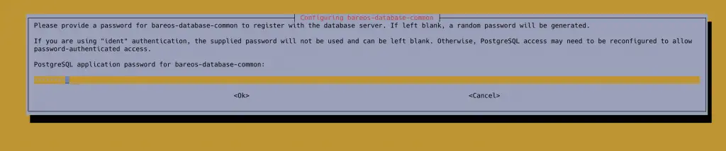 Install Bareos backup Tool on Ubuntu 20.04|18.04 4 install bareos on ubuntu postgresql 03