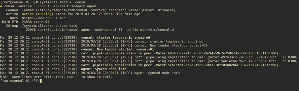 How To Setup Consul Cluster on CentOS / RHEL 7/8 1 consul cluster status centos7