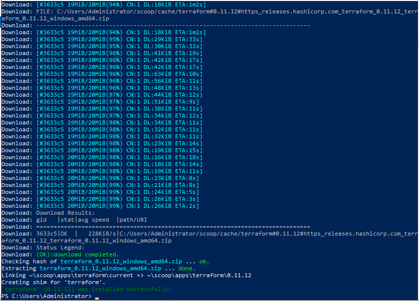 Install Terraform on Windows 10 / Windows Server 2019 1 terraform windows 01