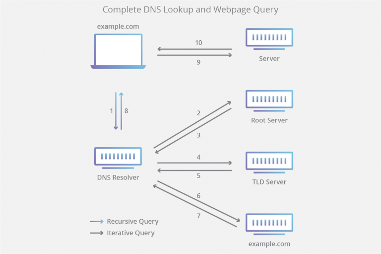 dns lookup