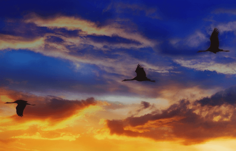 azure cloud migration