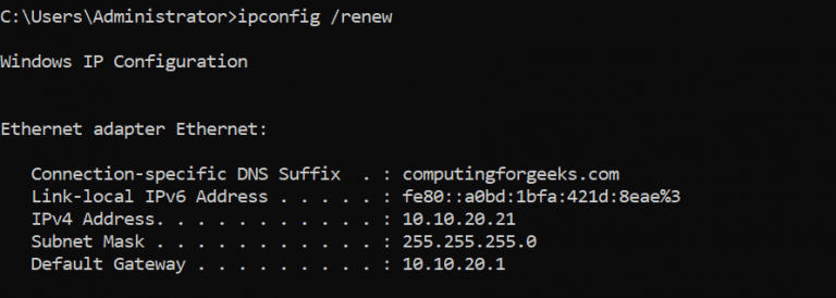 DHCP Client Renew IP