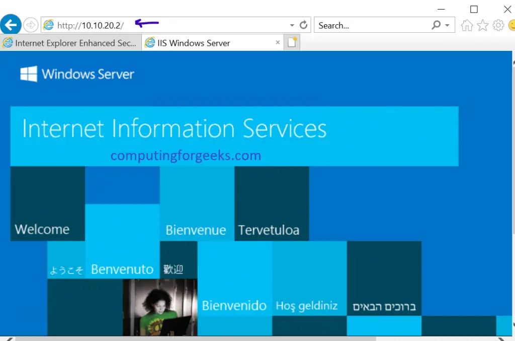 how to check iis is running