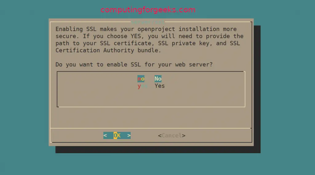 Install OpenProject on Ubuntu 20.04|18.04|16.04 5 install openproject debian 10 05