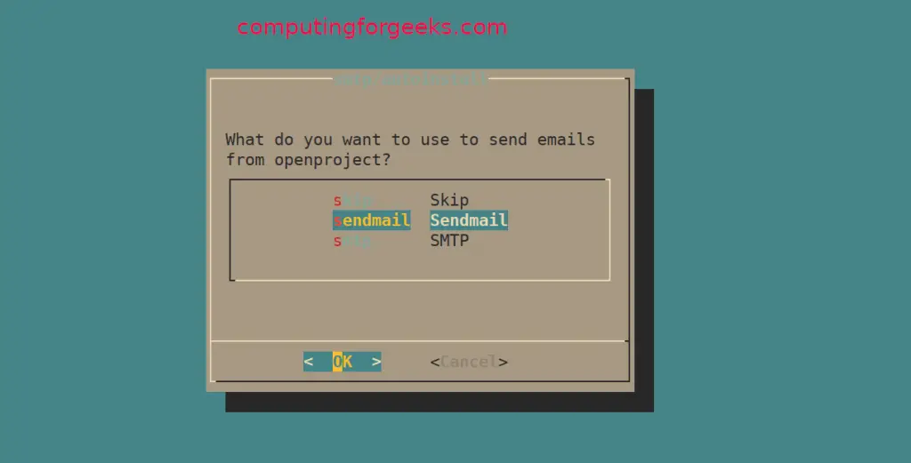 Install OpenProject on Ubuntu 20.04|18.04|16.04 10 install openproject debian 10 10