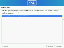 Install Kali Linux 2023.x – Step by Step with Screenshots ...