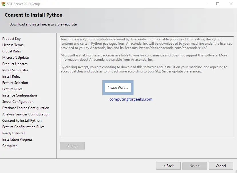 Install SQL Server 2019 Developer Edition on Windows Server 2019 17 sql2019 14 accpet python installation