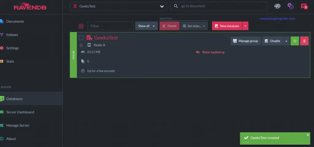 Install RavenDB NoSQL database on Ubuntu 20.04 7 RavenDB 8 RavenDB Inside database created