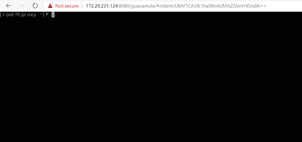 Install and Use Guacamole Remote Desktop on CentOS 8 6 guacamole 5 inside server