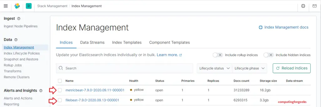 How To Ship Kubernetes Logs to External Elasticsearch 4 k8s elasticsearch index management 2