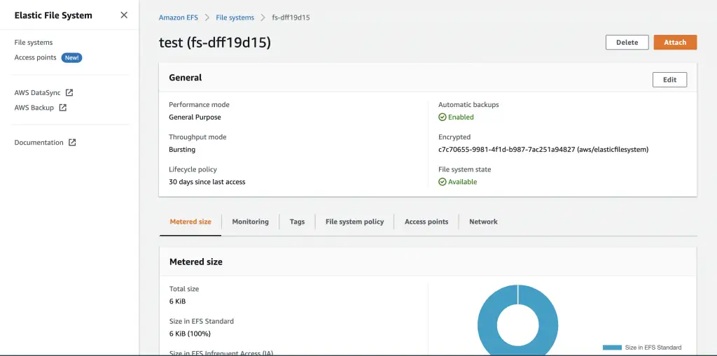 How To Mount AWS EFS File System on EC2 Instance 1 EFS Attach
