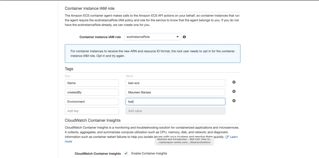 Running Docker Containers on AWS With ECS - Part 1 9 IAM Role and Container Insights Settings