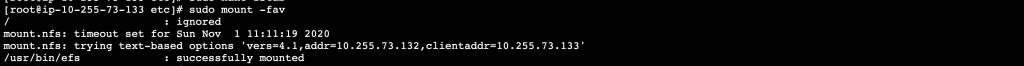 How To Mount AWS EFS File System on EC2 Instance 7 Test automatic mounting
