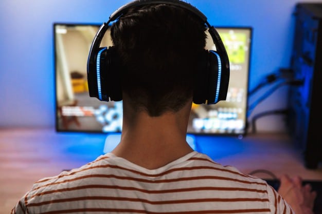 The Rise and Fall and Rise of Online Gaming 2 gaming rise fall 02
