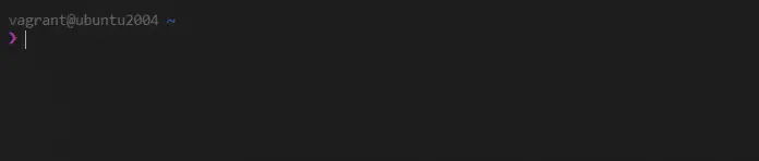 Best Terminal Shell Prompts for Zsh, Bash and Fish | ComputingForGeeks