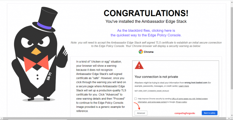 ambassador first page