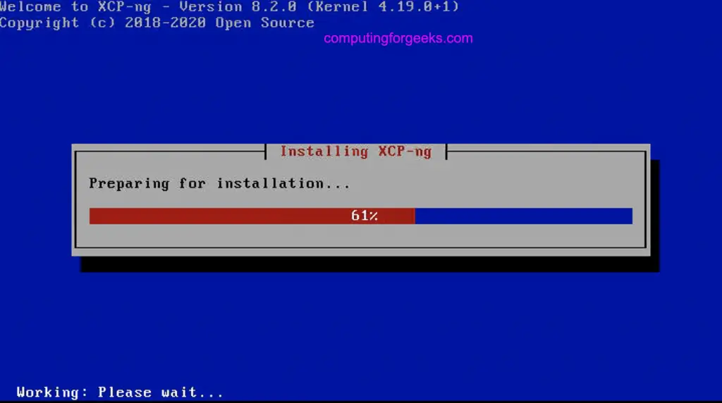 Install XCP-ng 8.2 Virtualization Platform - Step by Step with Screenshots 23 install XCP ng virtualization platform 23