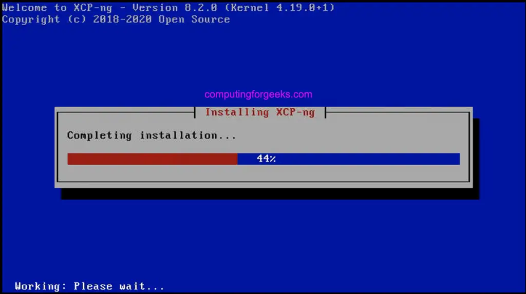 Install XCP-ng 8.2 Virtualization Platform - Step by Step with Screenshots 26 install XCP ng virtualization platform 26