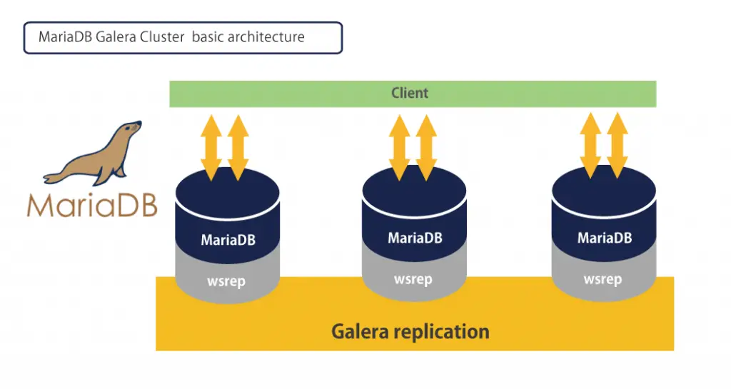 Install MariaDB Galera Cluster on Ubuntu 20.04 with ProxySQL 1 mariadb galera cluster