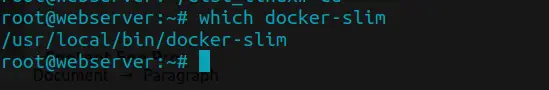 How To Minify, Optimize and Secure Docker Containers using DockerSlim 1 minify docker containers using dockerslim