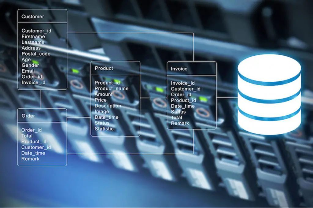 How Important are SQL & Databases in Data Science 1 SQL Databases