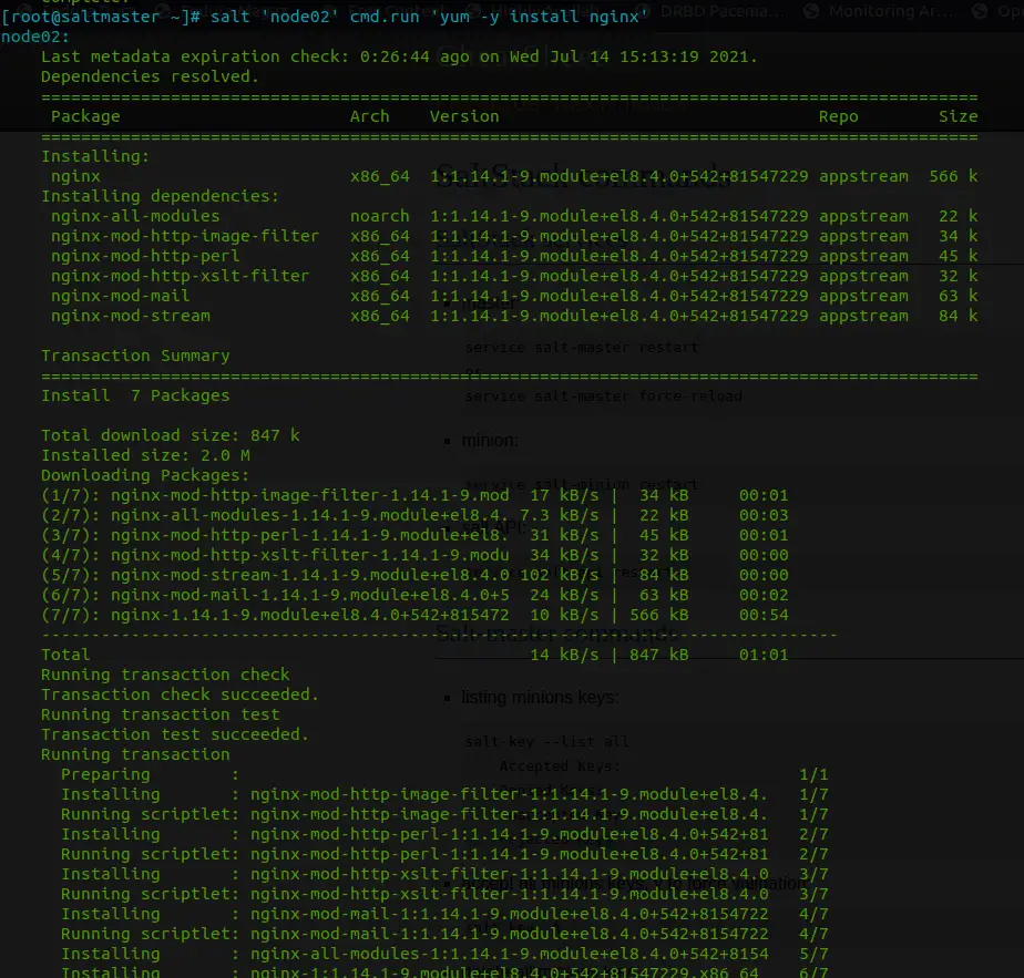 Install Saltstack Master/Minion on CentOS 8 | Rocky Linux 8 2 install saltstack on rocky linux 8