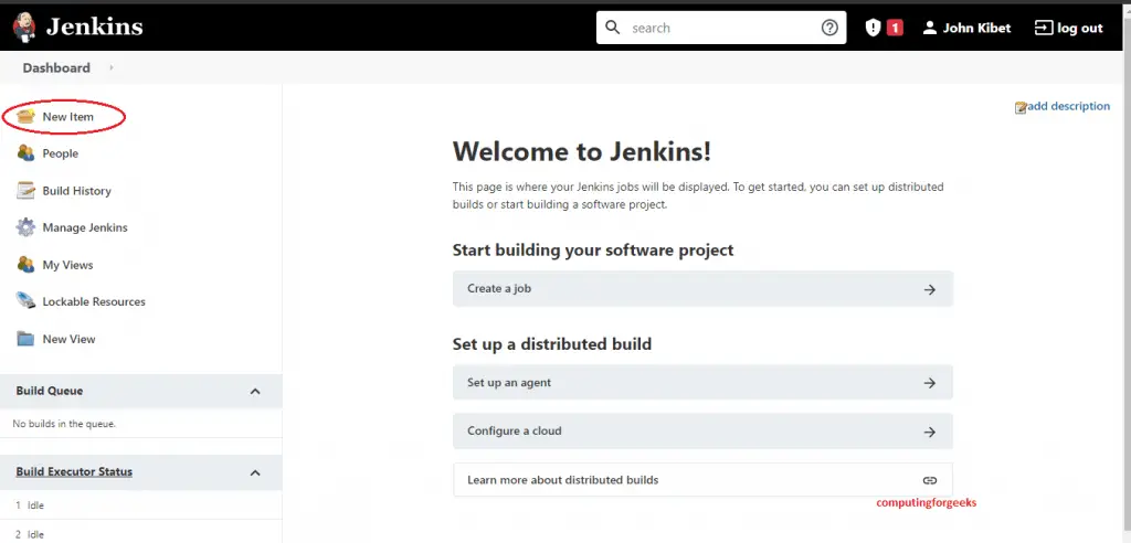 How To Use Multi-Branch Pipeline in Jenkins 9 jenkins click new item