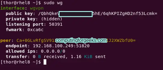How To Setup WireGuard VPN on Amazon Linux 2 3 How To Set Up WireGuard VPN on Amazon Linux 2 4