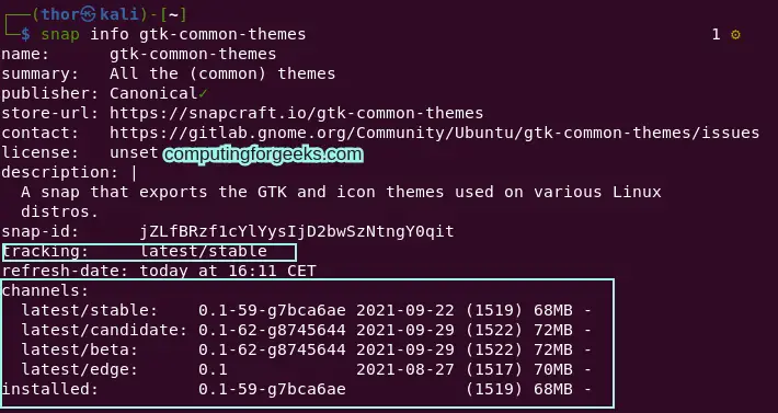 Install Snapd and Use snap on Kali Linux 3 Install Snapd and Use snap on Kali Linux 2021.x 2
