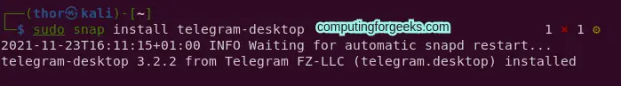 Install Snapd and Use snap on Kali Linux 1 Install Snapd and Use snap on Kali Linux