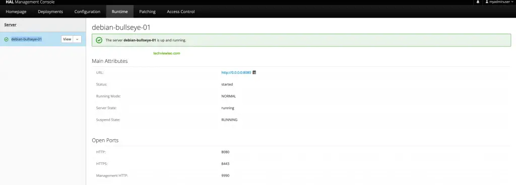 How To Install WildFly (JBoss) on Debian 11 / Debian 10 3 install jboss wildfly debian 02