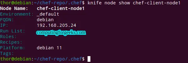 How To Install Chef Infra Server on Debian 11/Debian 10 3 How To Install Chef Infra Server on Debian 11 Debian 10 2