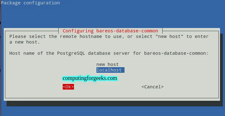 Install and Use Bareos Backup Solution on Debian 11|Debian 10 3 Install and Use Bareos Backup Solution on Debian 11 Debian 10 2