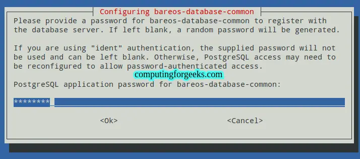 Install and Use Bareos Backup Solution on Debian 11|Debian 10 4 Install and Use Bareos Backup Solution on Debian 11 Debian 10 3