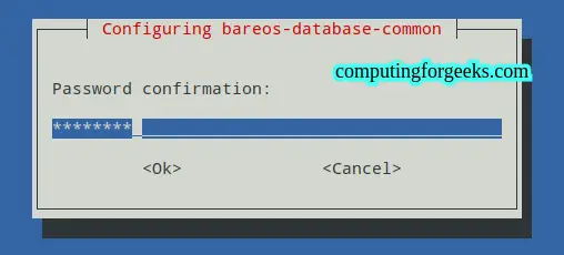 Install and Use Bareos Backup Solution on Debian 11|Debian 10 5 Install and Use Bareos Backup Solution on Debian 11 Debian 10 4