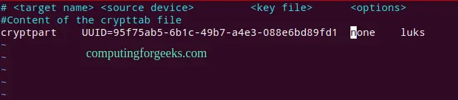 Encrypt Ubuntu or Debian Disk Partition using Cryptsetup 3 Encrypt Ubuntu Debian Disk Partition using Cryptsetup 2