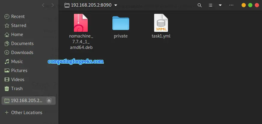 Setup Secure FTP Server(SFTP) with WebDAV using SFTPGo 12 How To Setup Secure FTP ServerSFTP with WebDAV using SFTPGo 11