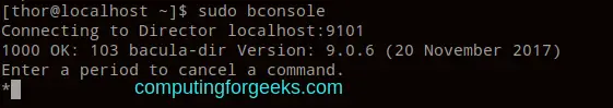 Install and Use Bacula Backup on Rocky LinuxAlmaLinux 1