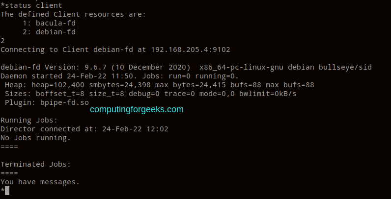 Install and Use Bacula Backup on Rocky LinuxAlmaLinux 2