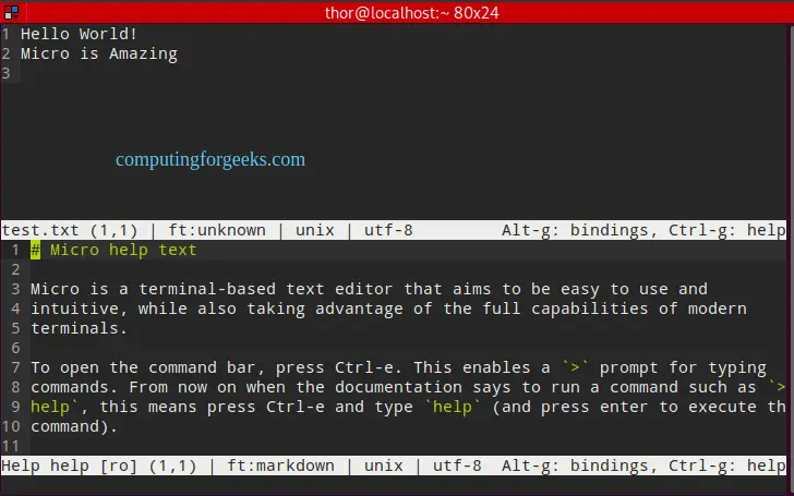 Install and Use Micro terminal text editor on Rocky/AlmaLinux 8 2 Install and Use Micro terminal text editor on RockyAlmaLinux 1
