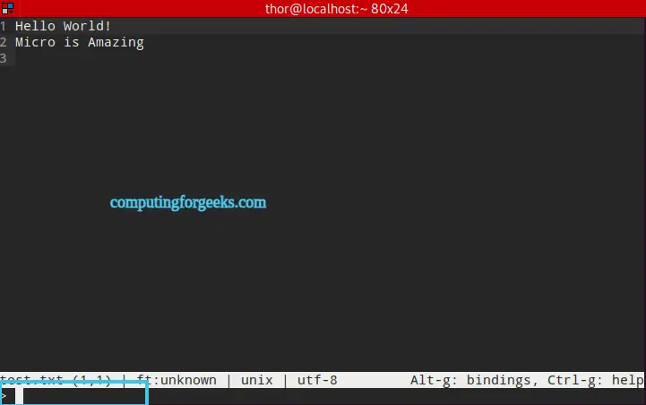 Install and Use Micro terminal text editor on Rocky/AlmaLinux 8 3 Install and Use Micro terminal text editor on RockyAlmaLinux 2